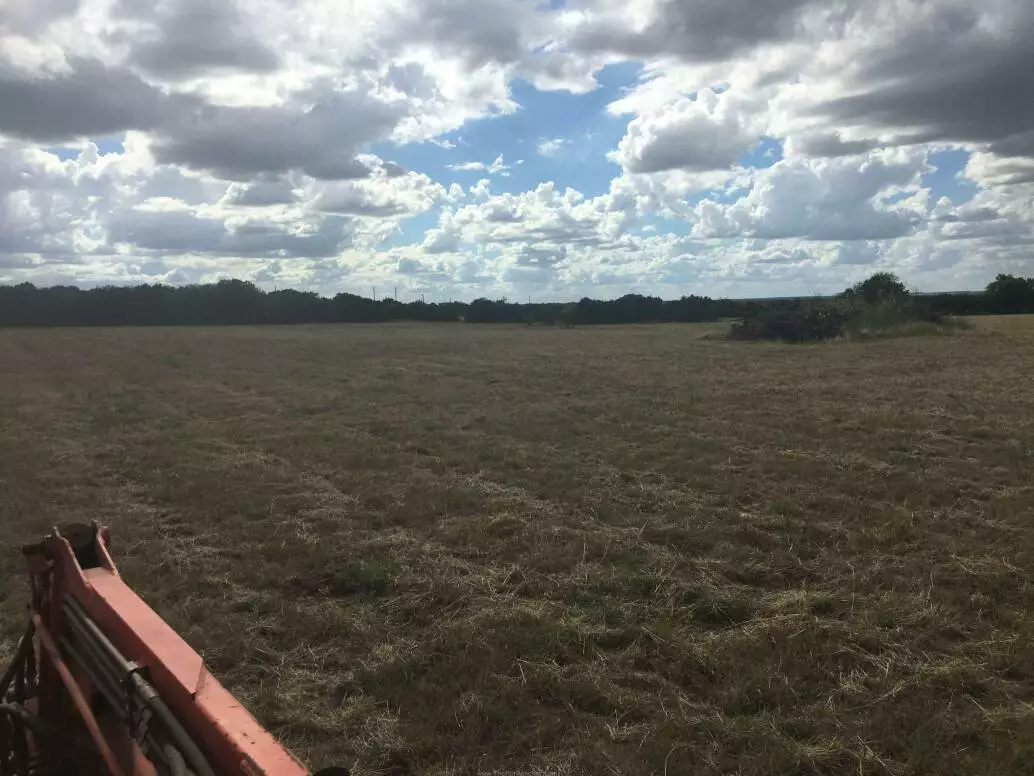 The Fat Rancher's back pasture post shredding.