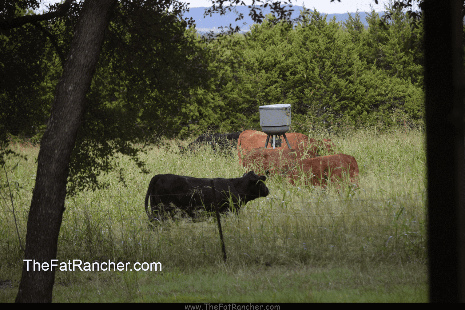 Fall 2018 is Here - The Fat Rancher