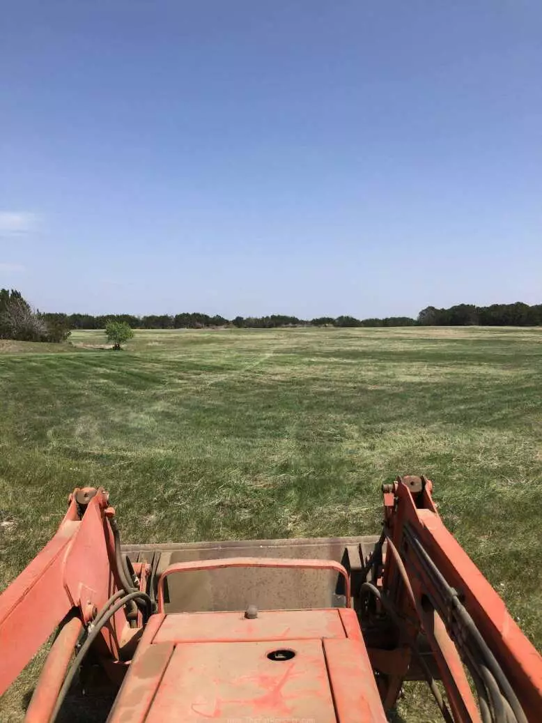 Completetly shredded pasture