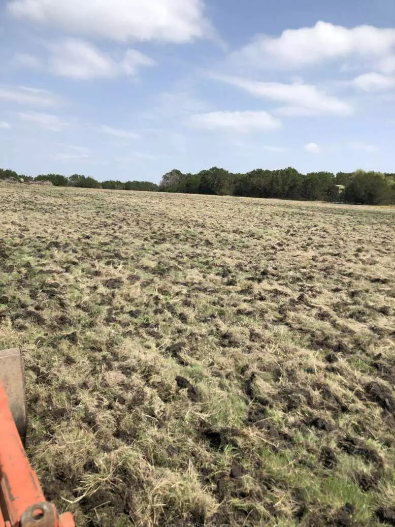 Disced pasture
