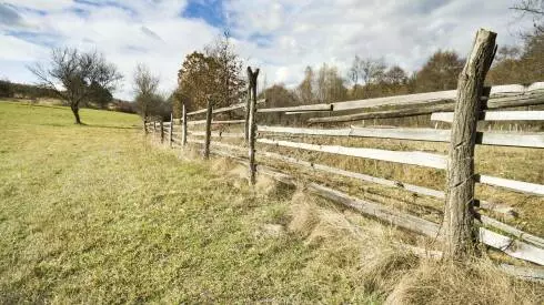 Ranch fence along pasture
