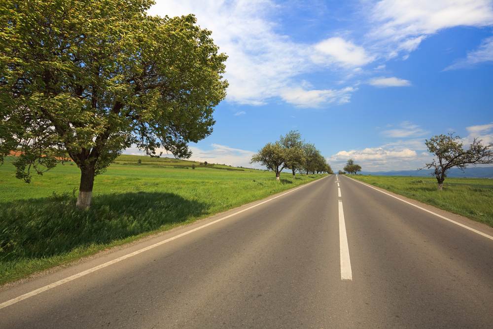 Nice country road with beautiful trees along side to travel to homestead property.